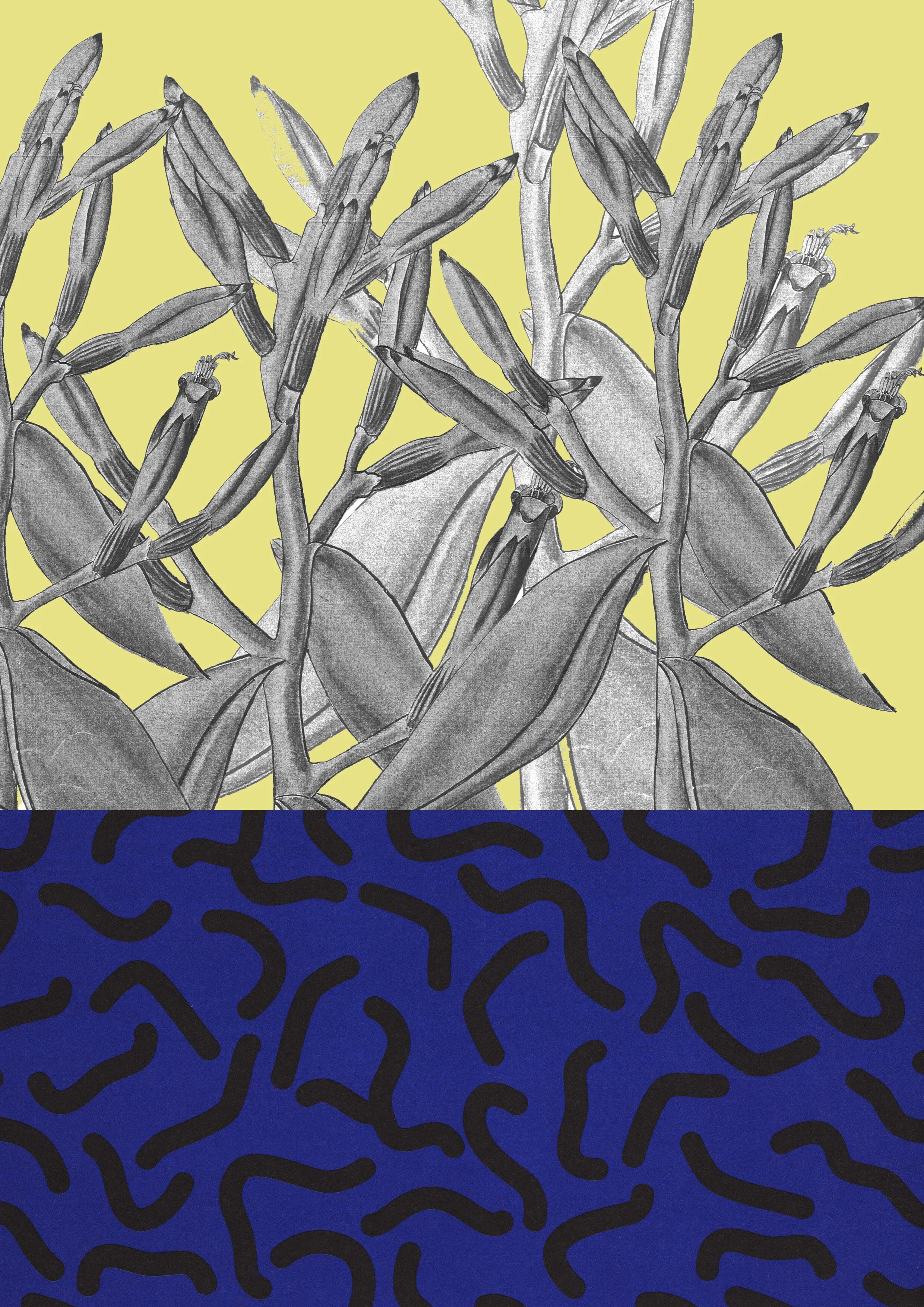 collage_A5_03.jpg