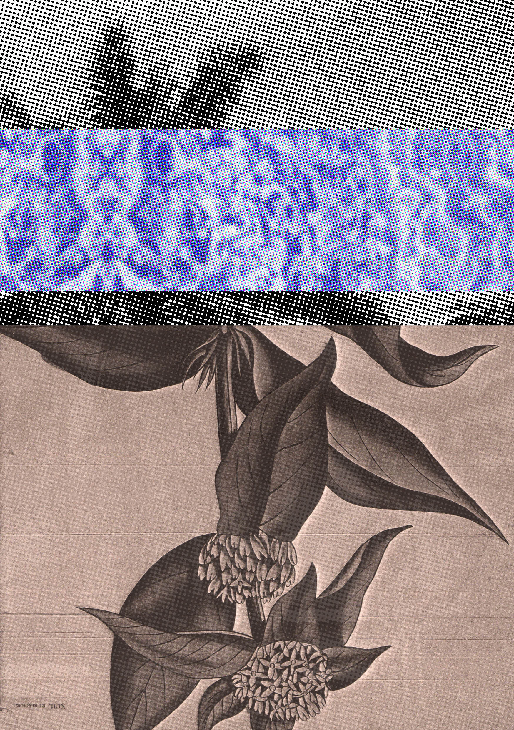 collage_A5_07_copia.jpg