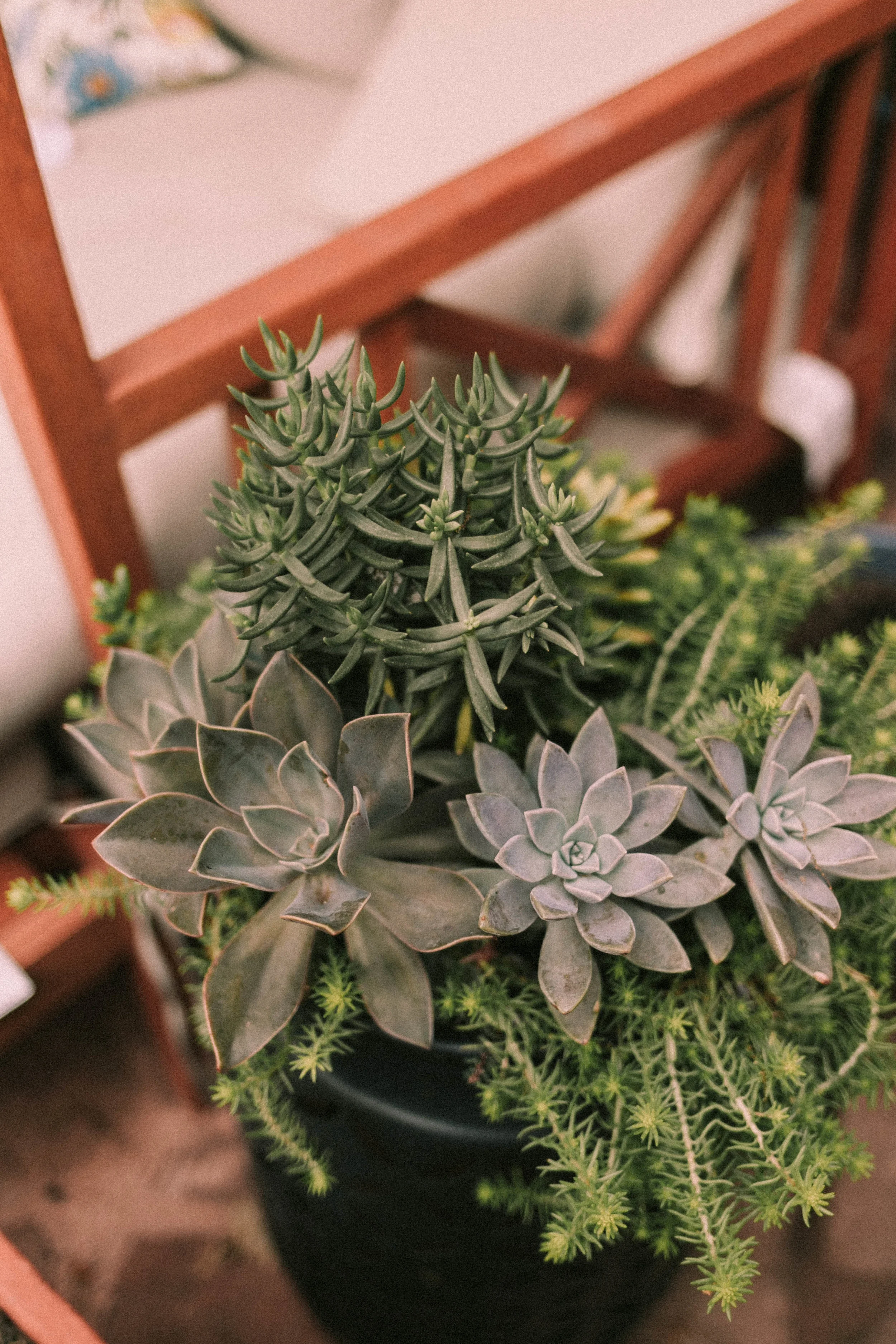 Kailee Ann Photography | Fine Art Portrait Photographer Lubbock, Texas | Phia Newborn + Lifestyle Portraits