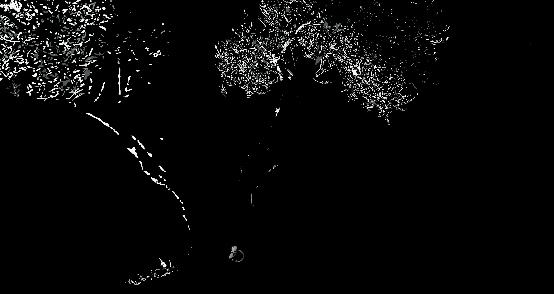 Olivo nocturno (Anatomías de olivo III)