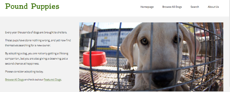 Dog Adoption Database — Erin Donohue
