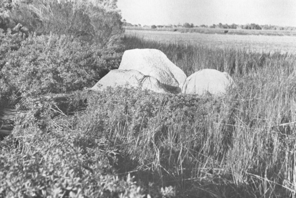 Beverly Buchanan, Marsh Ruins , concrete and tabby, 1981. (Marshes of Glynn, Brunswick, GA). © Beverly Buchanan. from Rhizome .