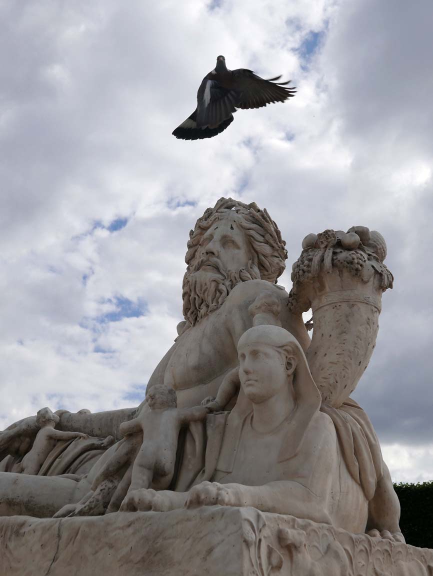 Fortuitous pigeon placement, Tuilleries