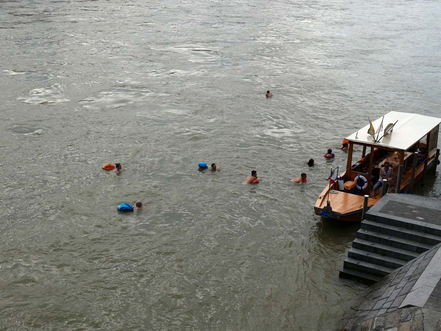 swimming in the Rhine