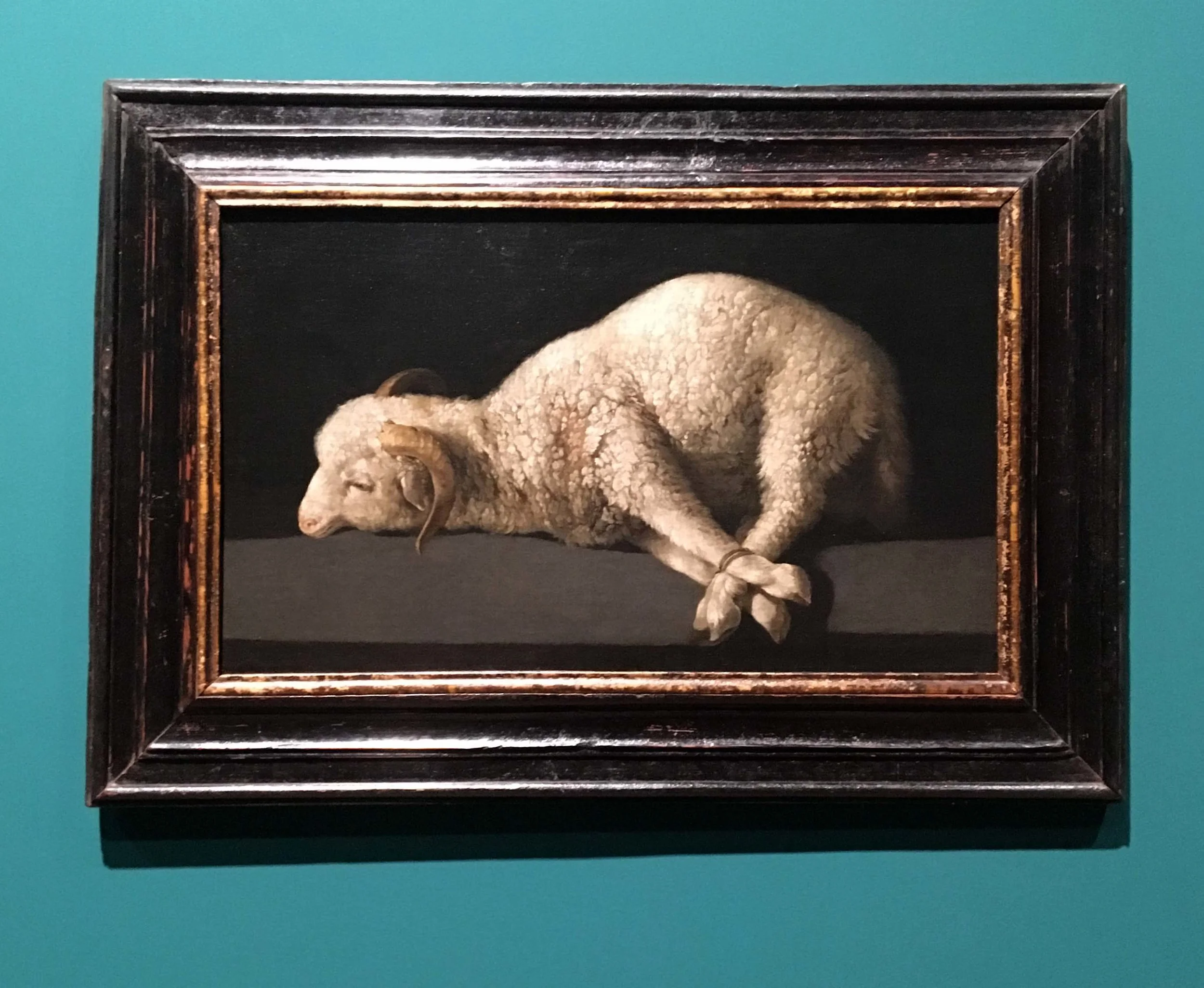 Francisco de Zurbaran, Agnus Dei, 1635