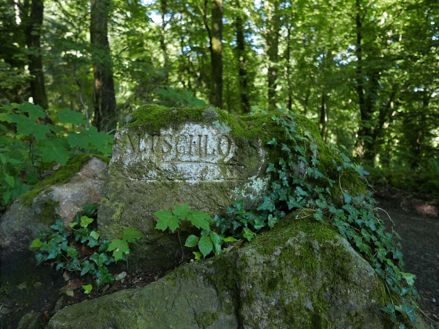 directional sign on the hiking trail