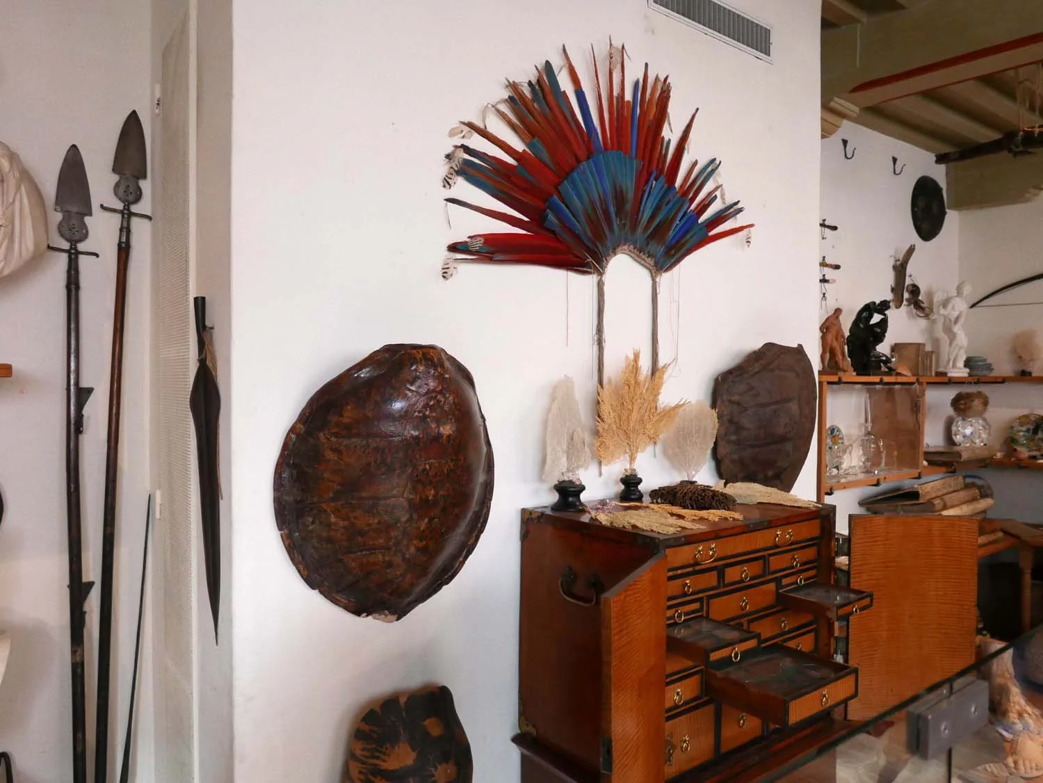 Rembrandt's cabinet of curiosities
