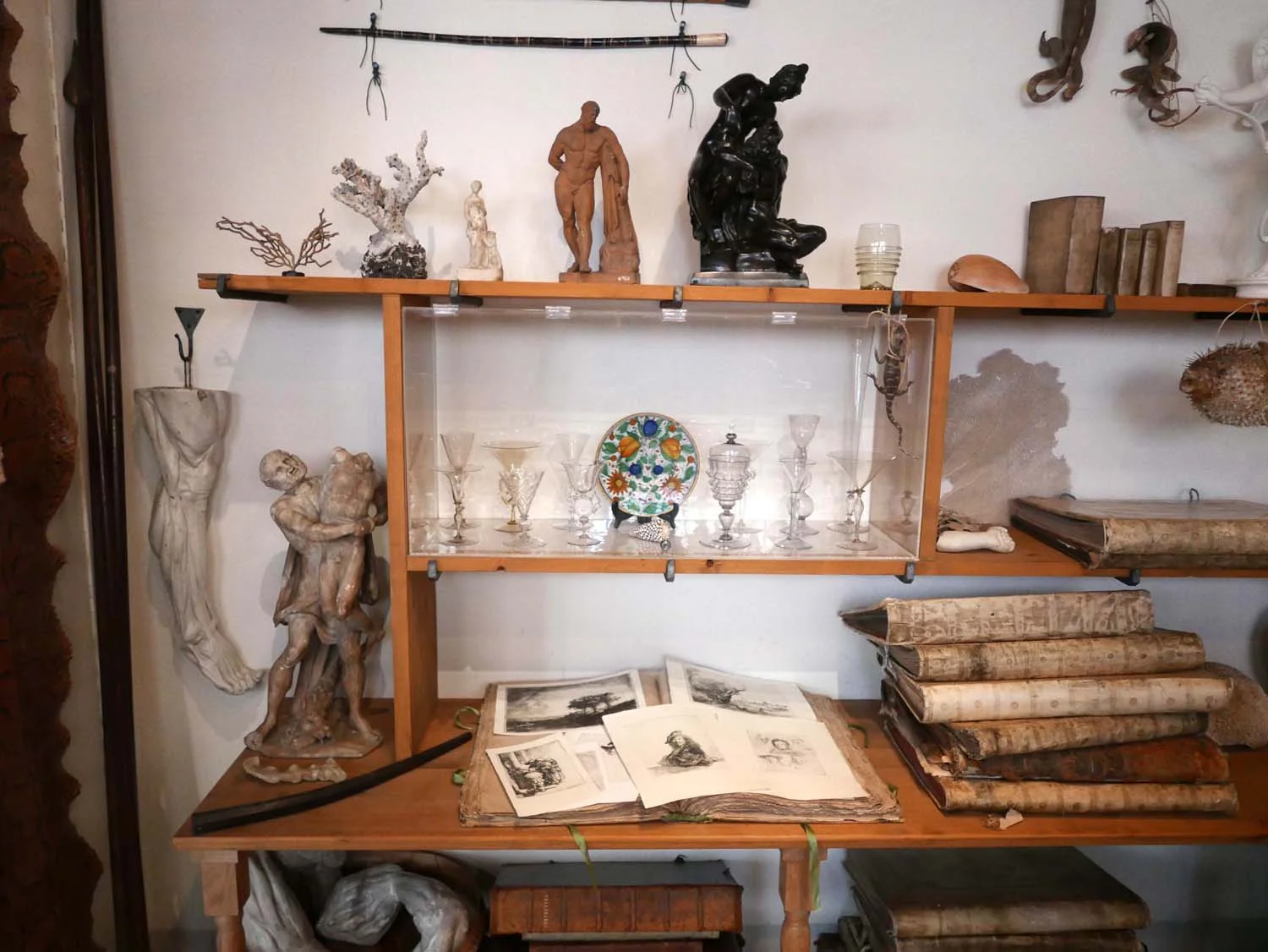 Rembrandt's cabinet of curiosities