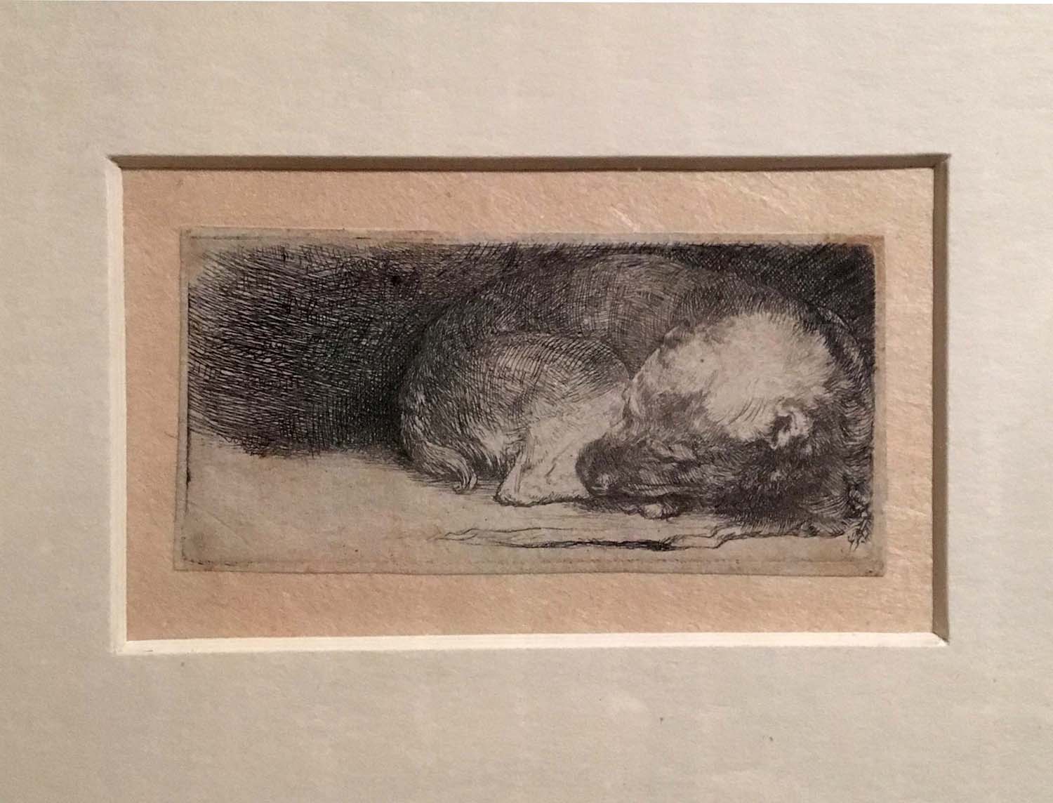 Rembrandt, Sleeping dog, etching