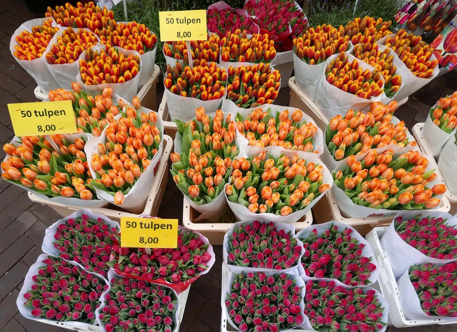 tulips at the flower market