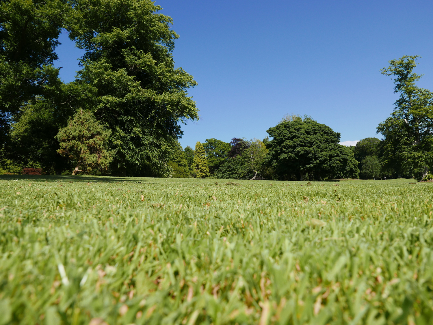 Balloch Castle grounds