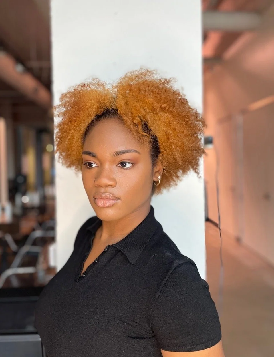 WPI Beauty Soft Natural Hair Styling Chicago