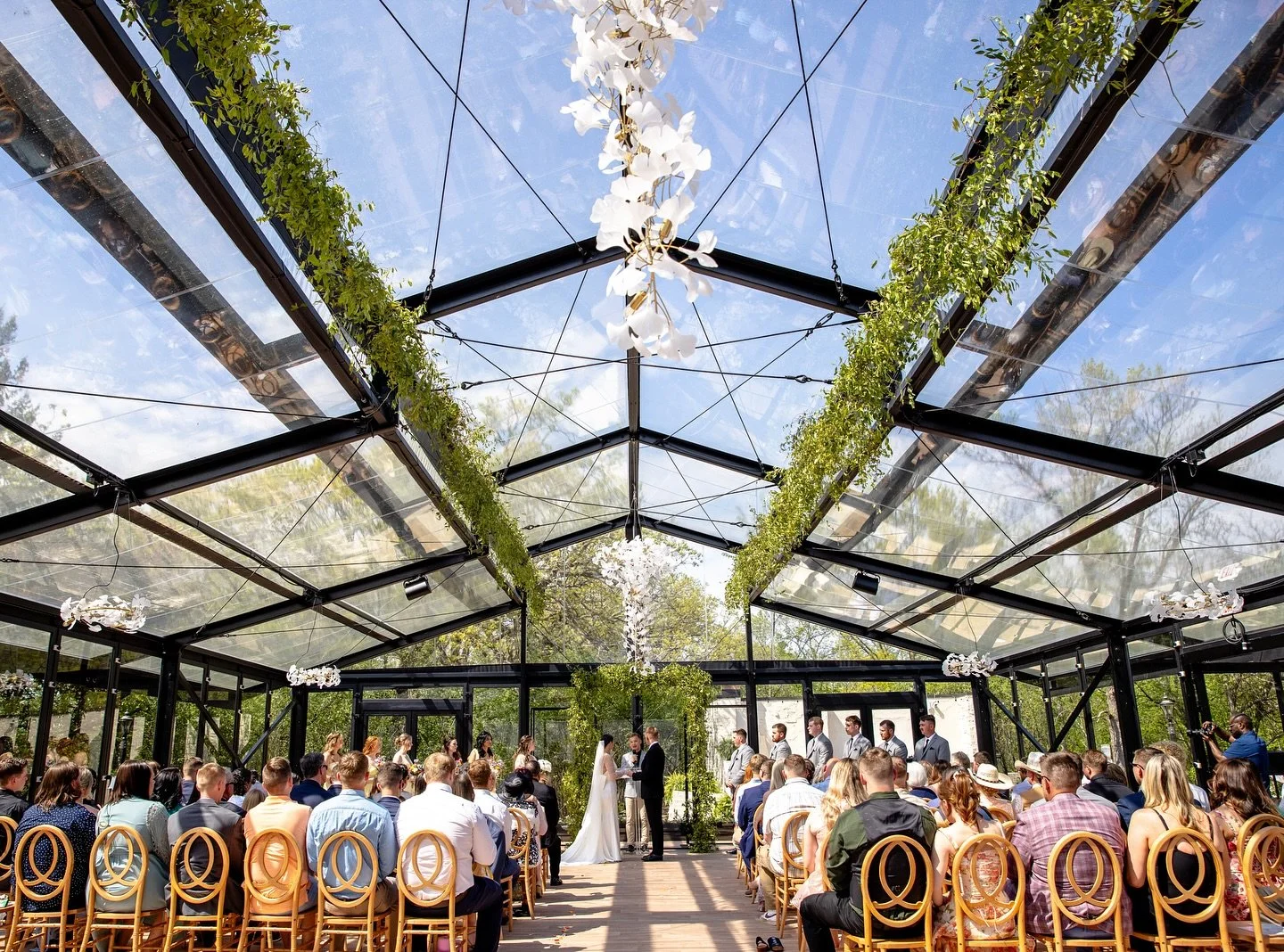 Bavaria Down in Chaska Minnesota