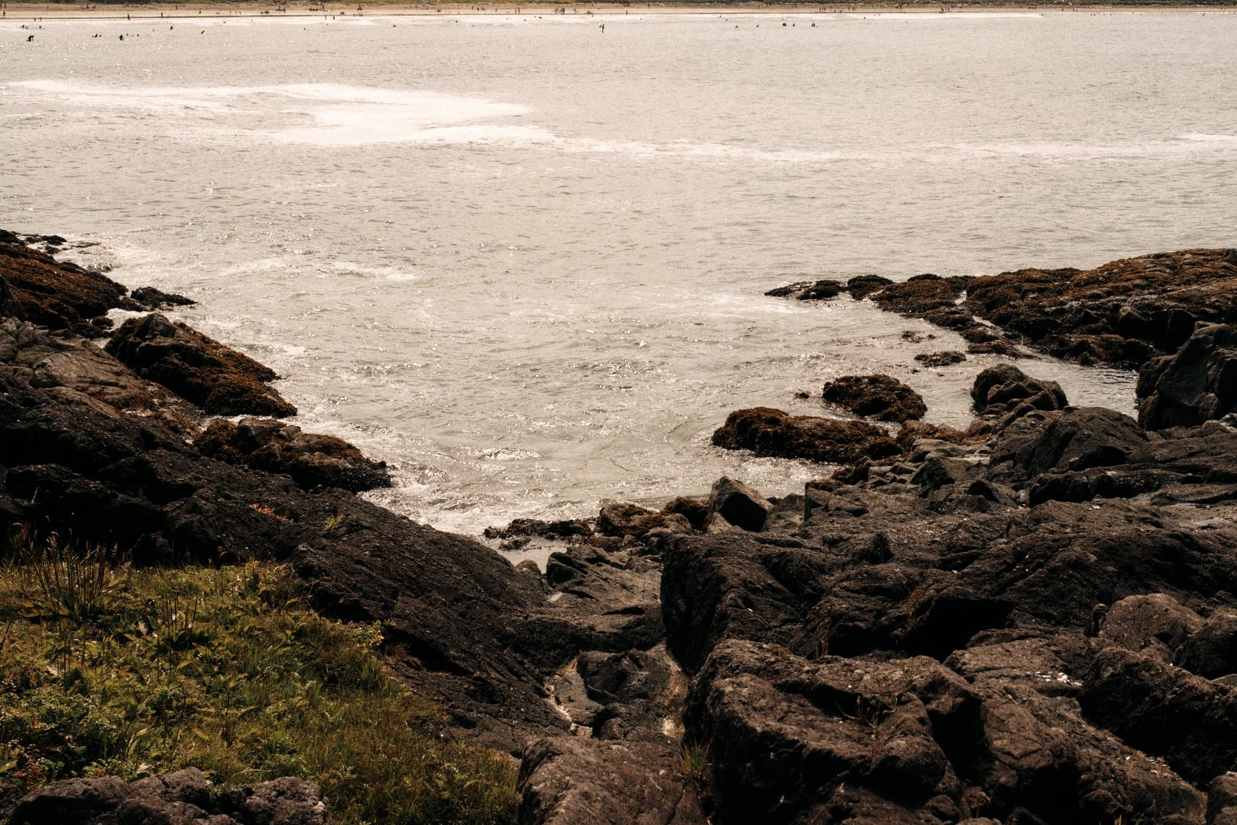 DSCF4724.jpg