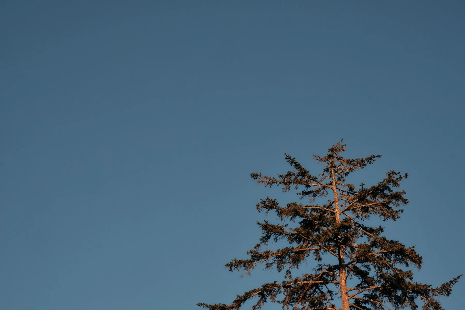 DSCF5039.jpg