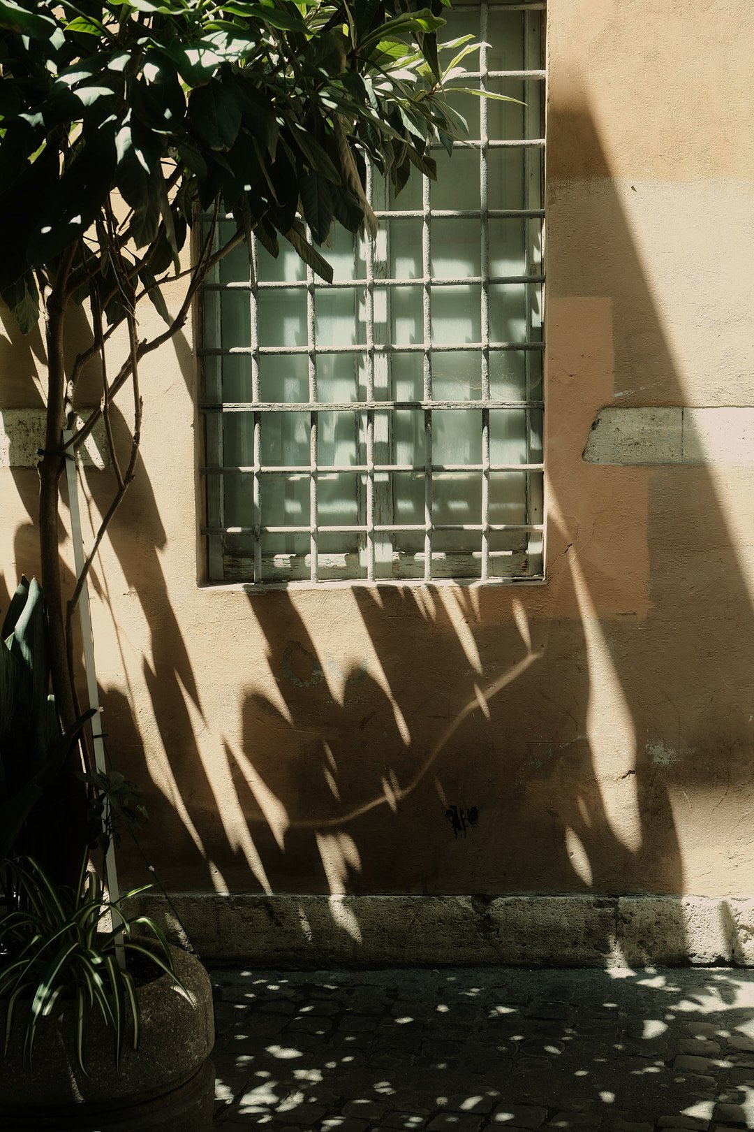 DSCF4620Rome.jpg