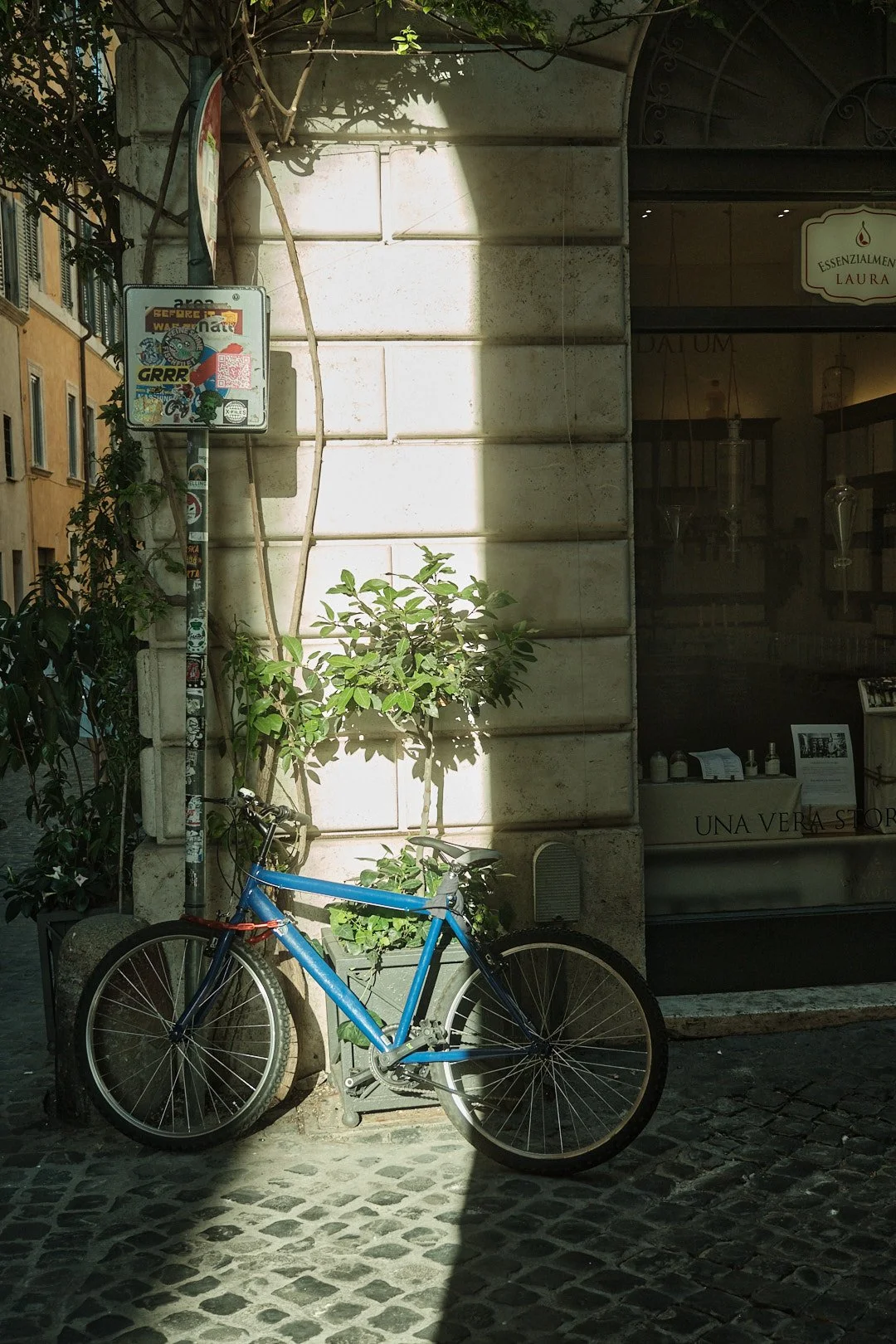 DSCF4828rome.jpg