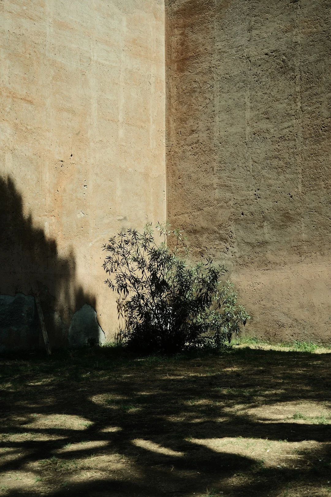 DSCF5026rome.jpg