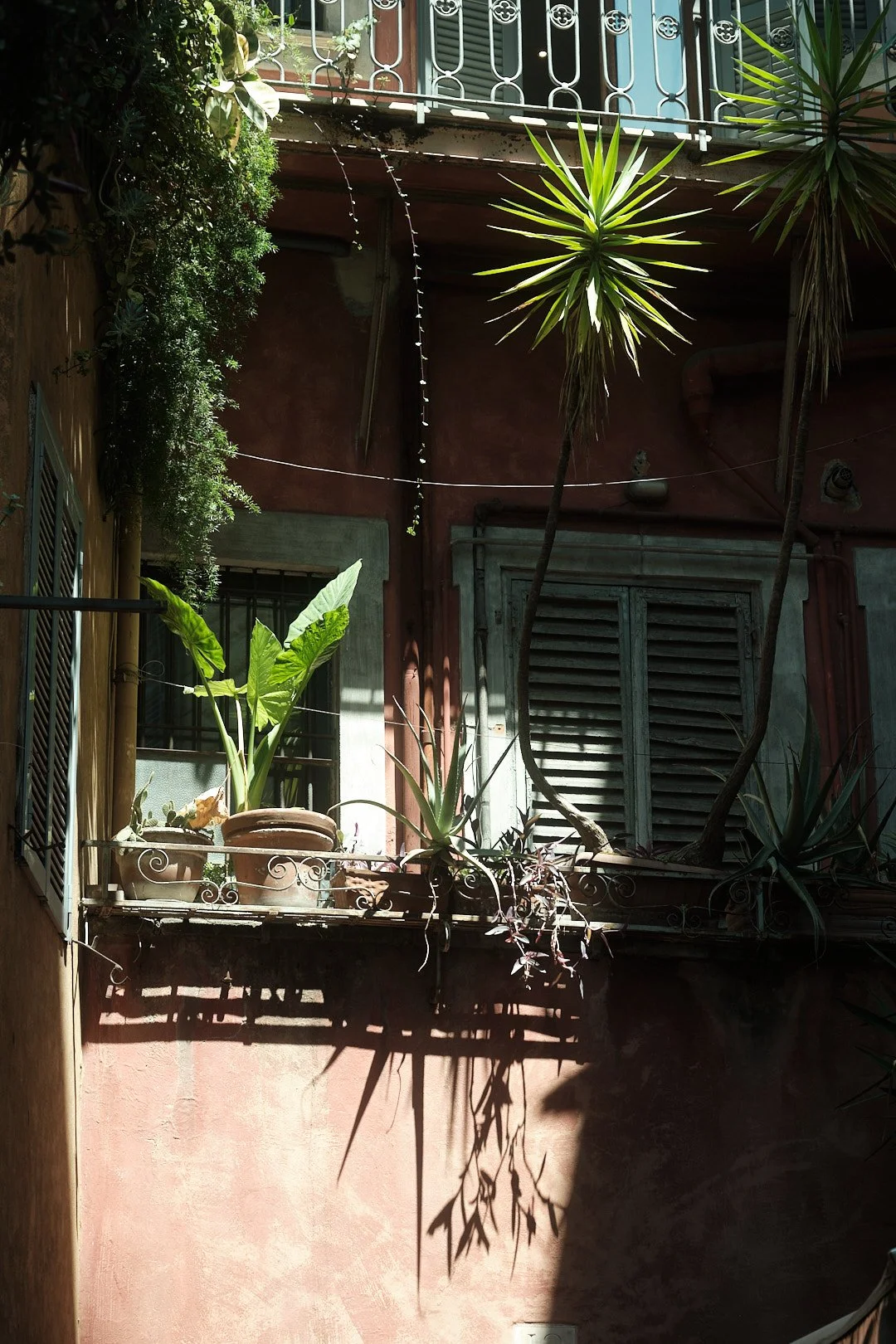 DSCF5030rome.jpg