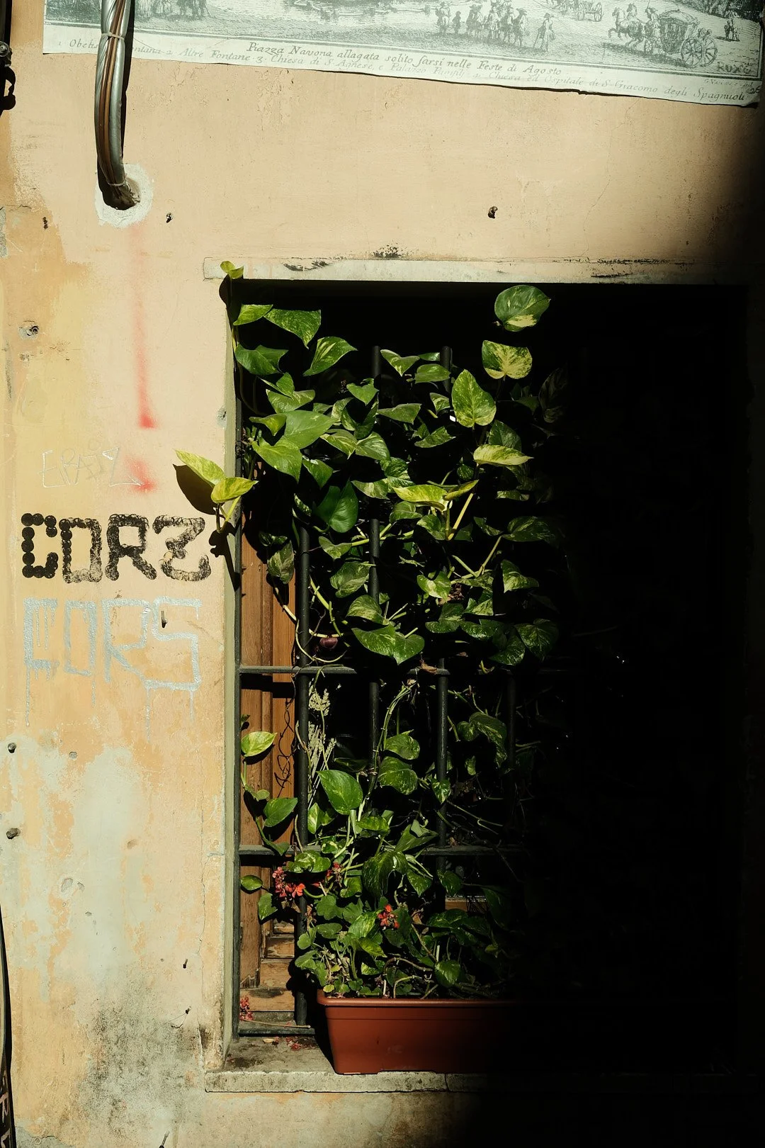 DSCF5078rome.jpg