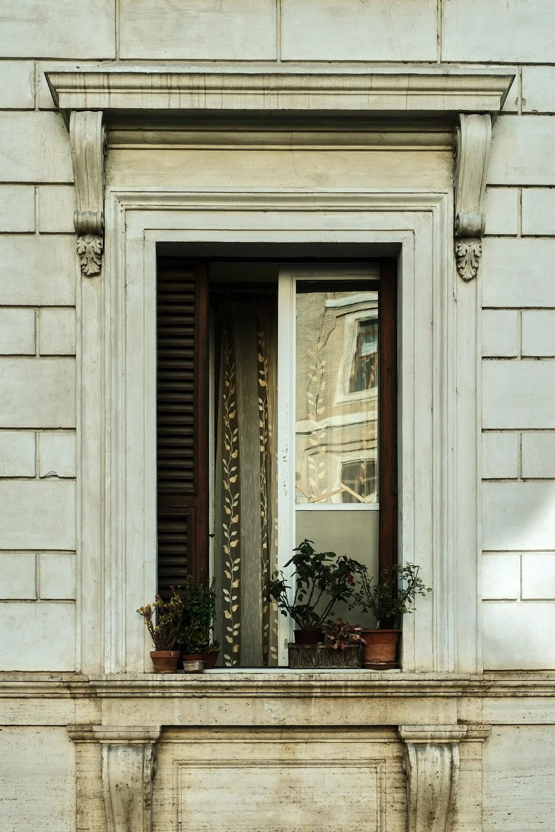 DSCF5104rome.jpg