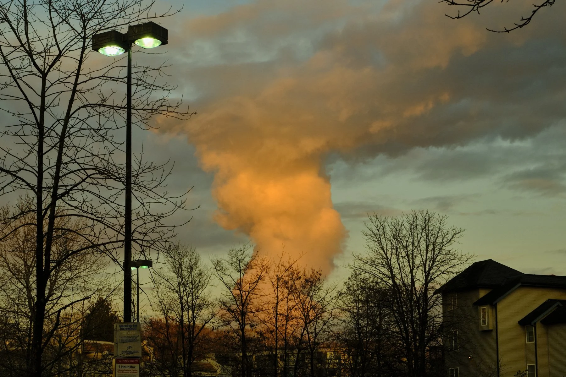 DSCF2787.jpg