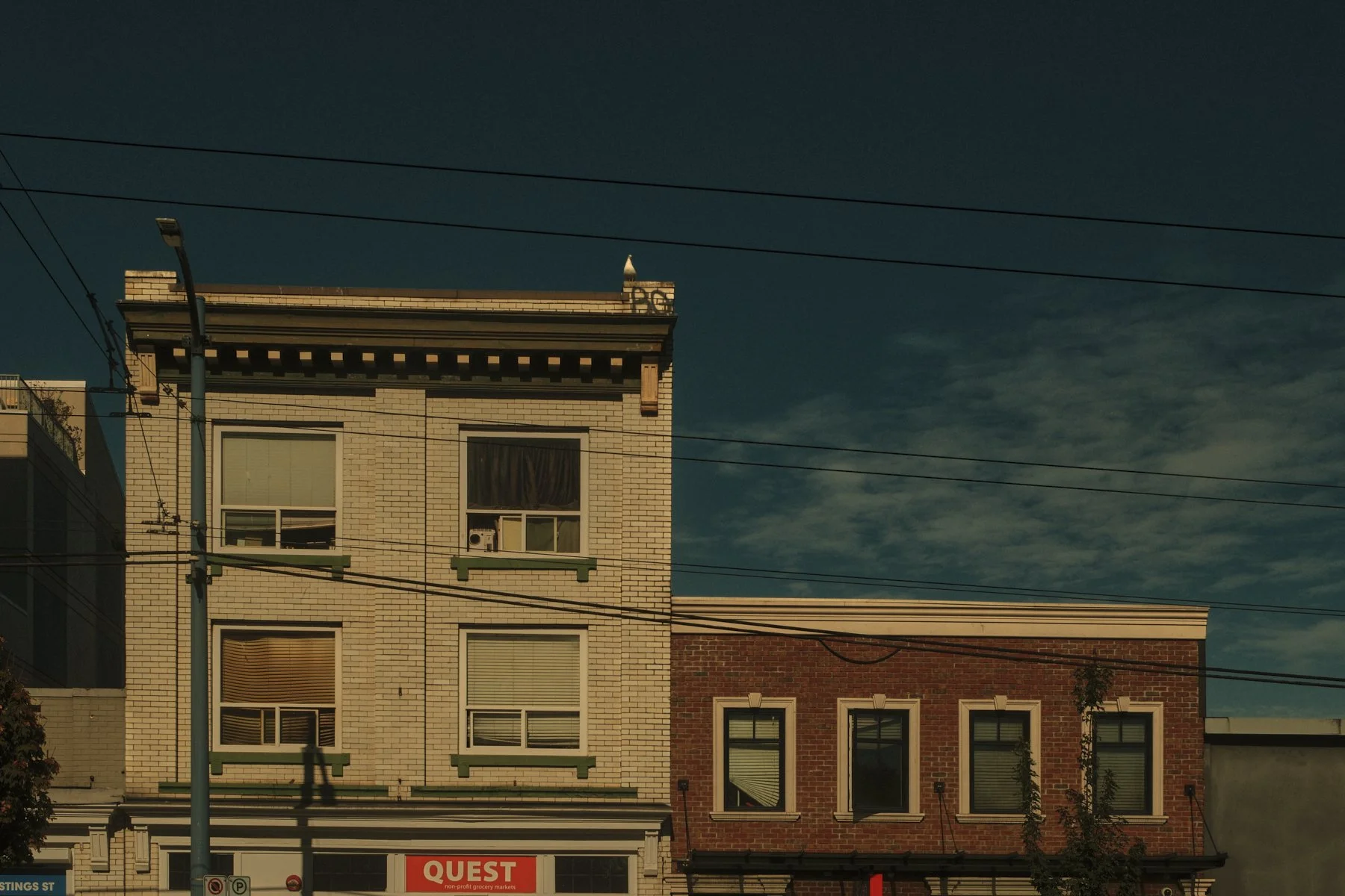 DSCF7521.jpg