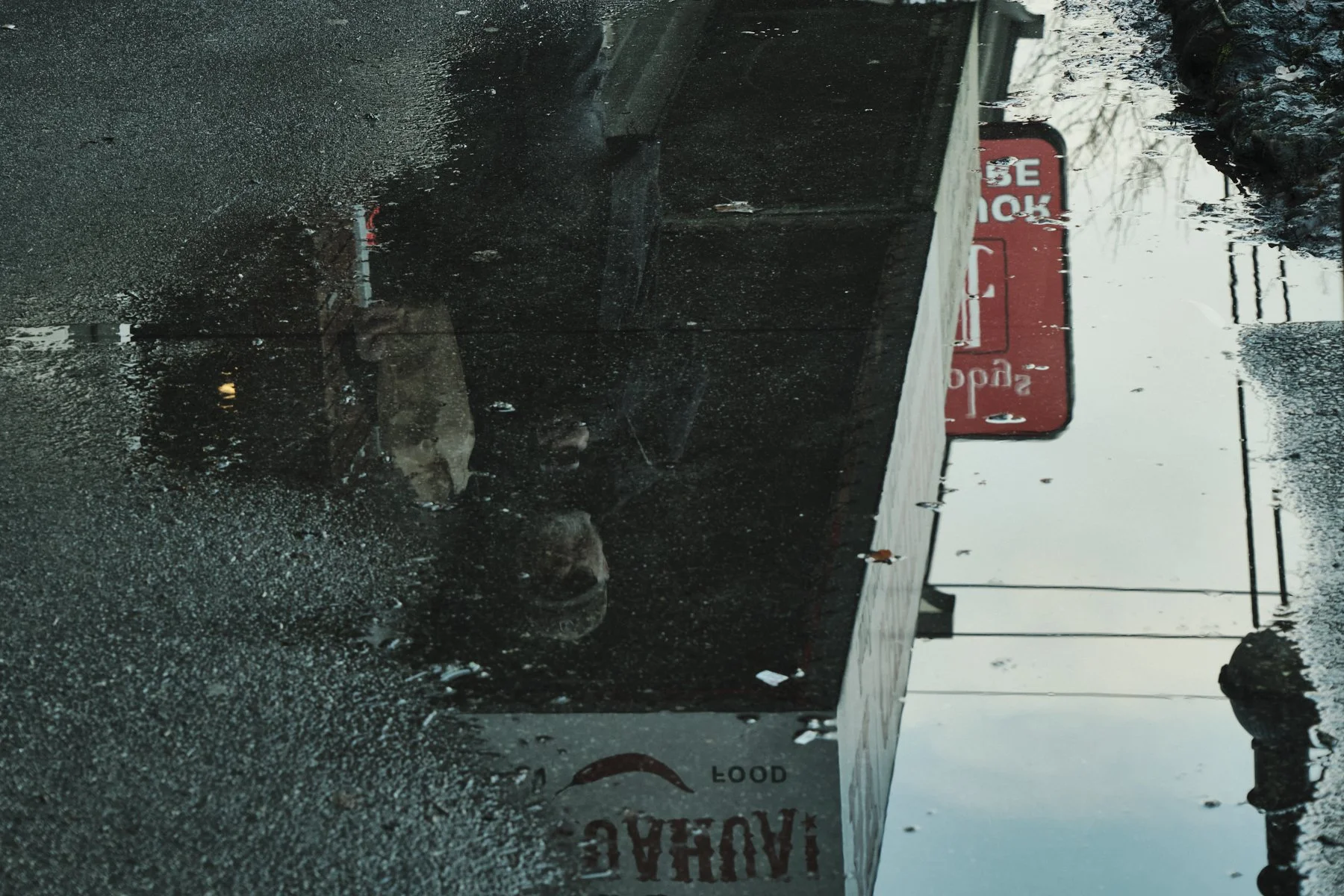 DSCF2772.jpg