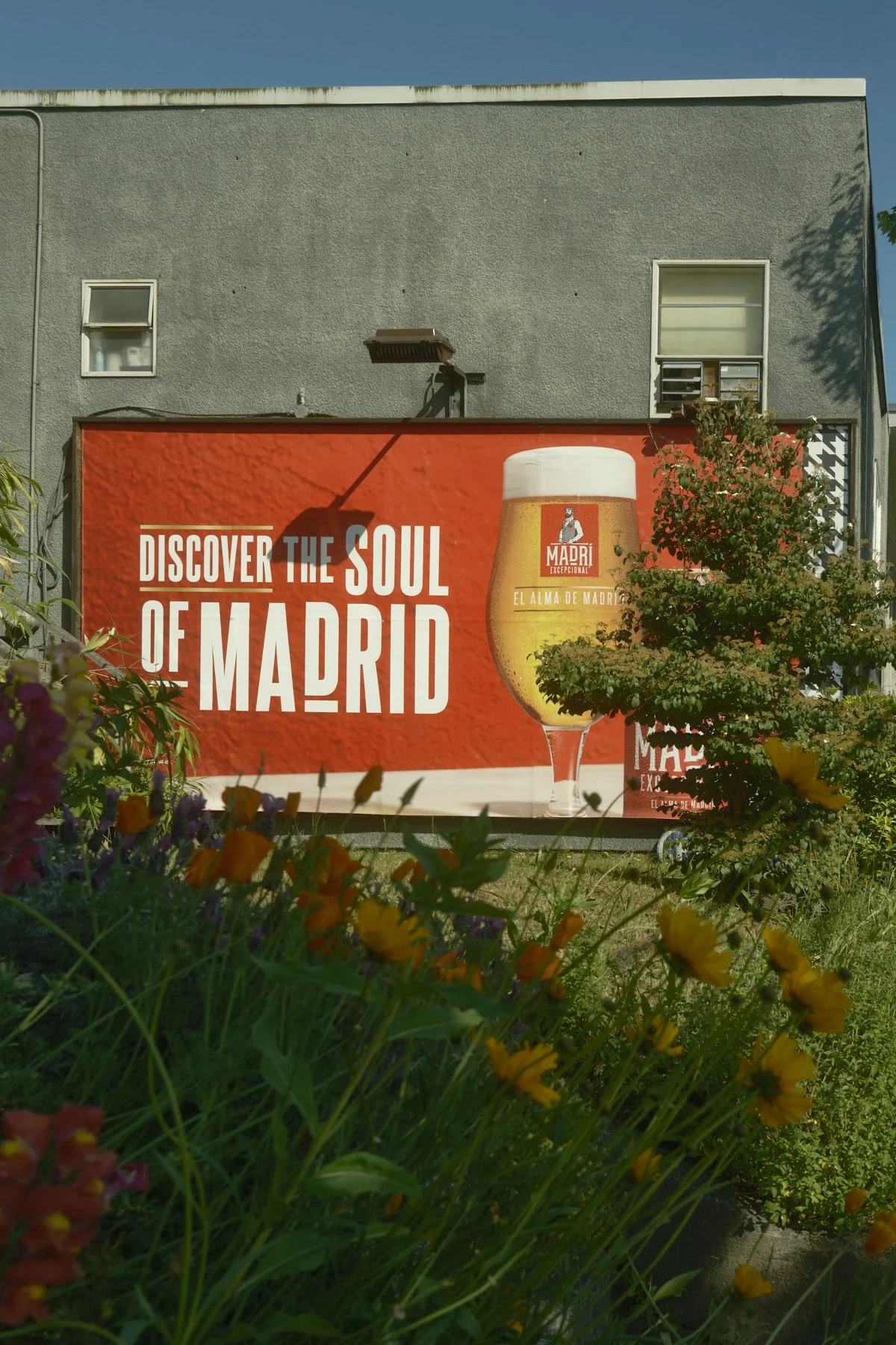 DSCF4255.jpg
