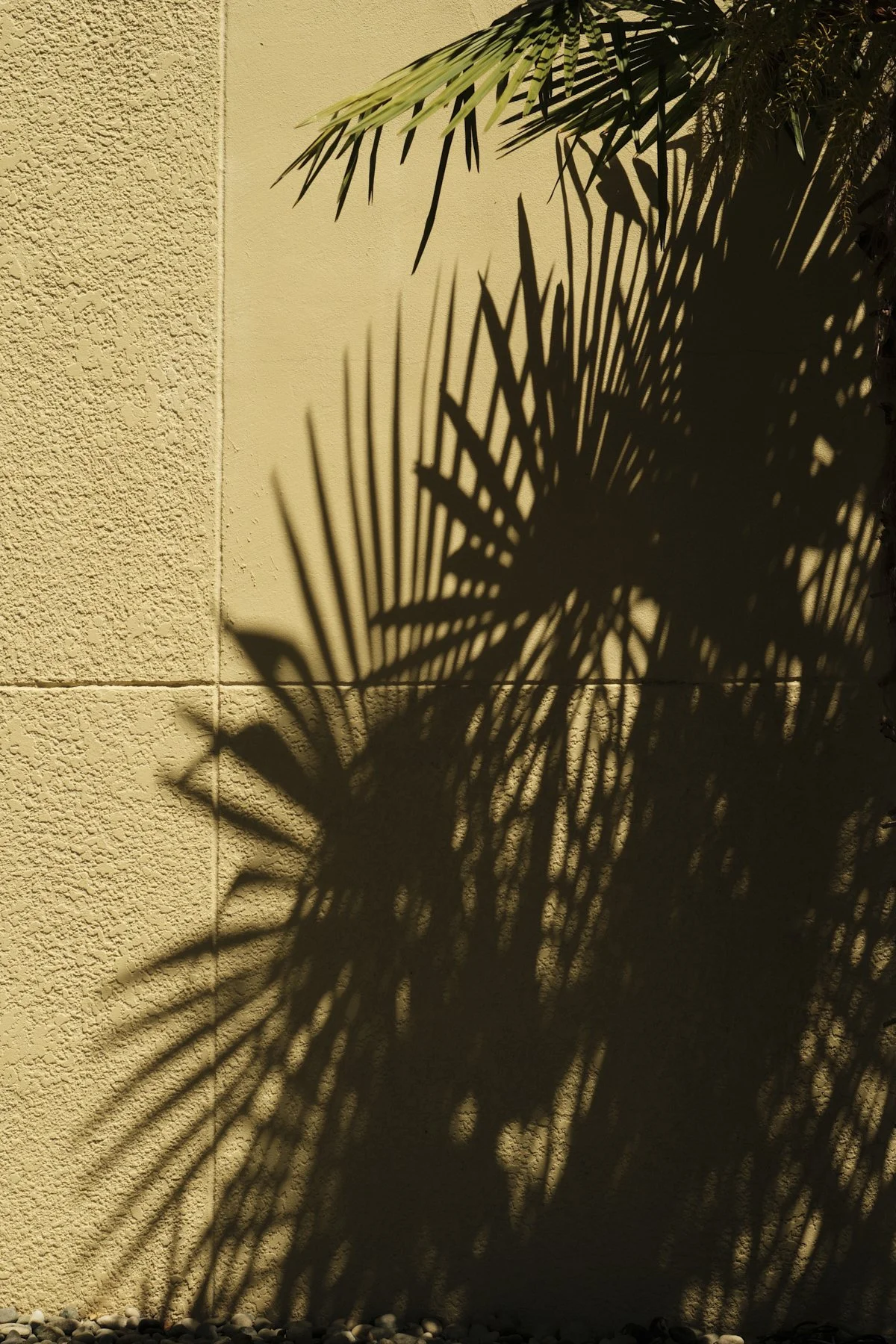 DSCF0213.jpg