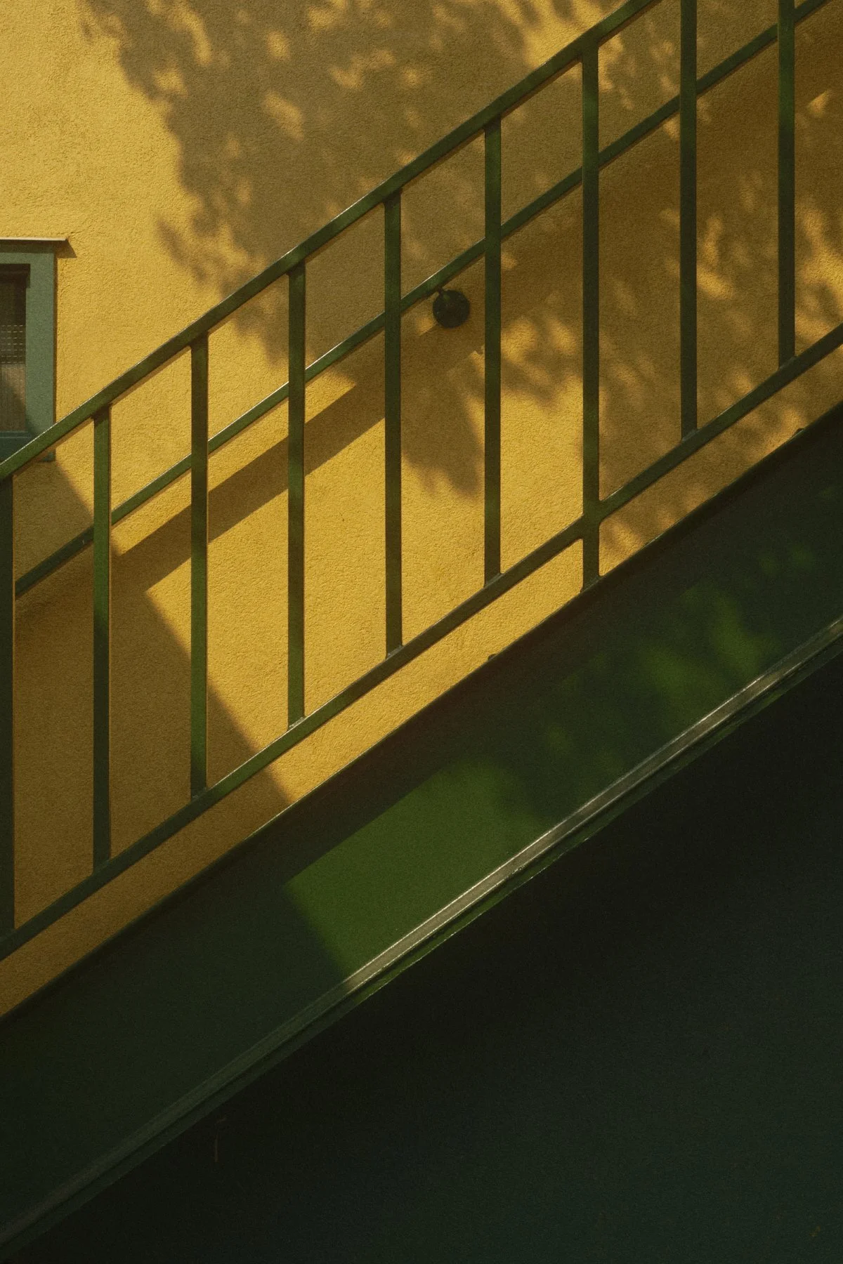 DSCF7353.jpg