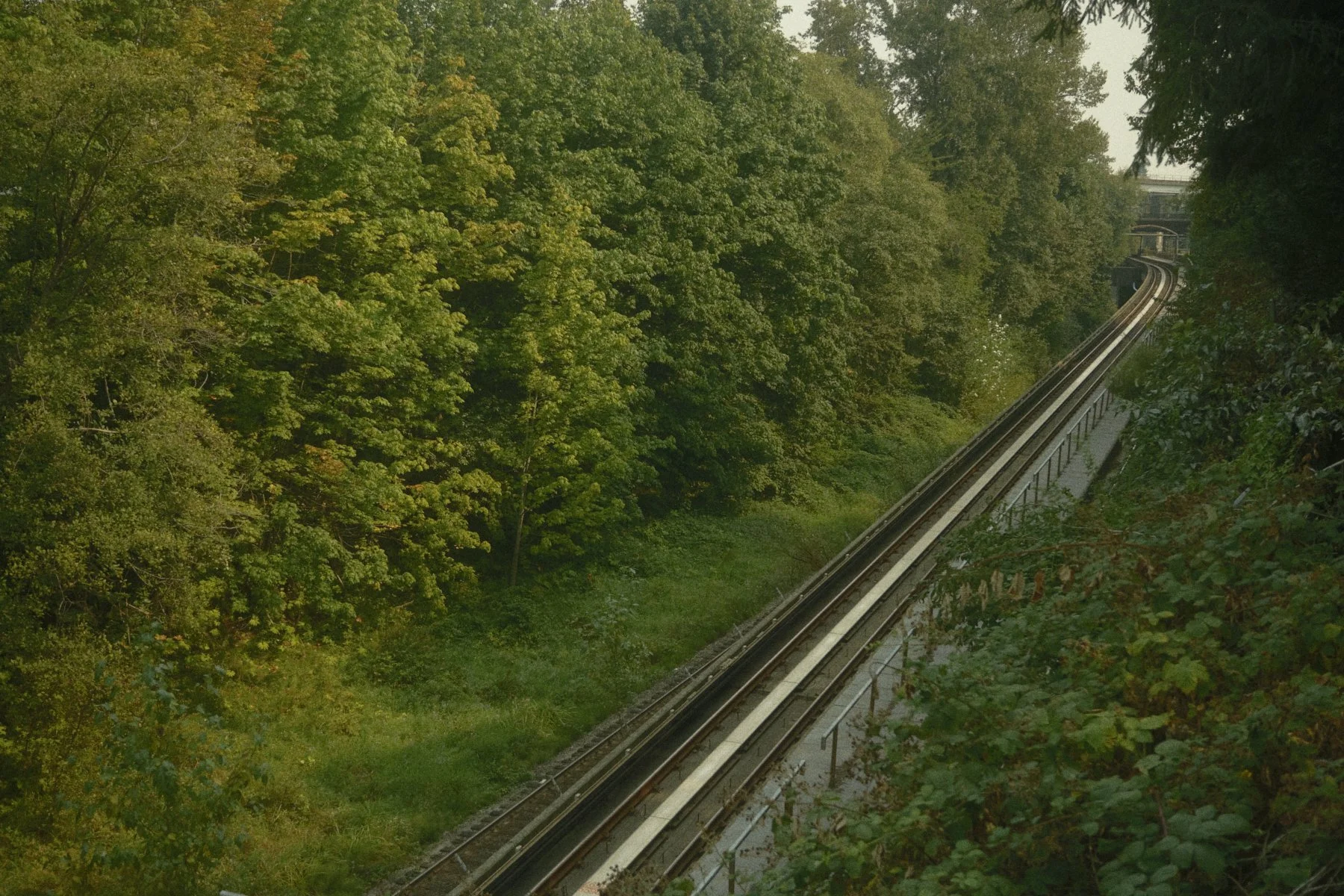 DSCF7208.jpg