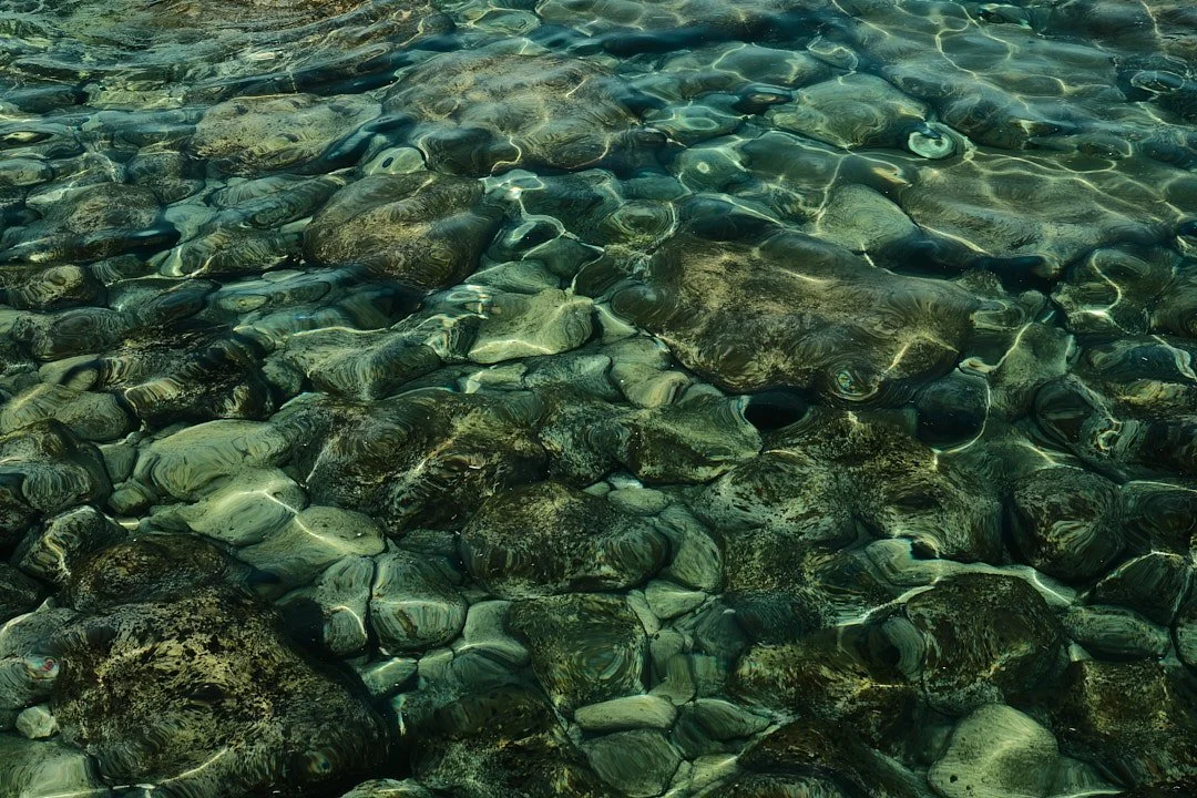DSCF4679Il Pellicano.jpg