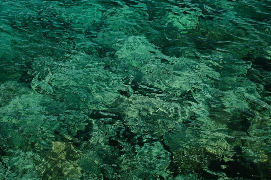 DSCF4680Il Pellicano.jpg