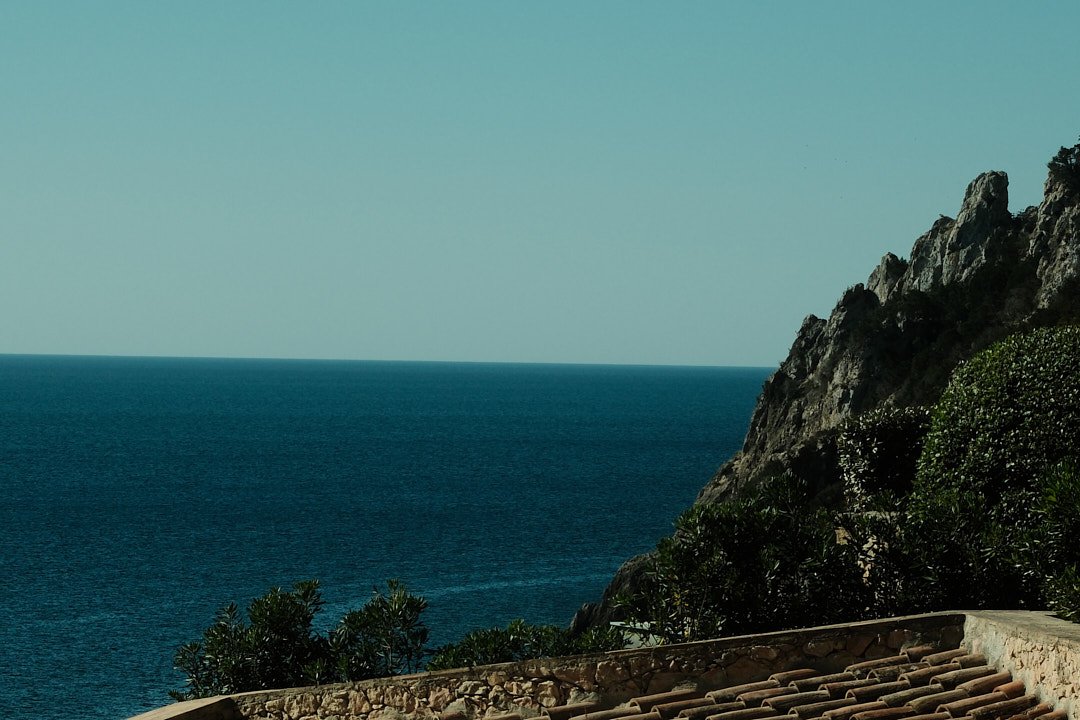 DSCF4744Il Pellicano.jpg