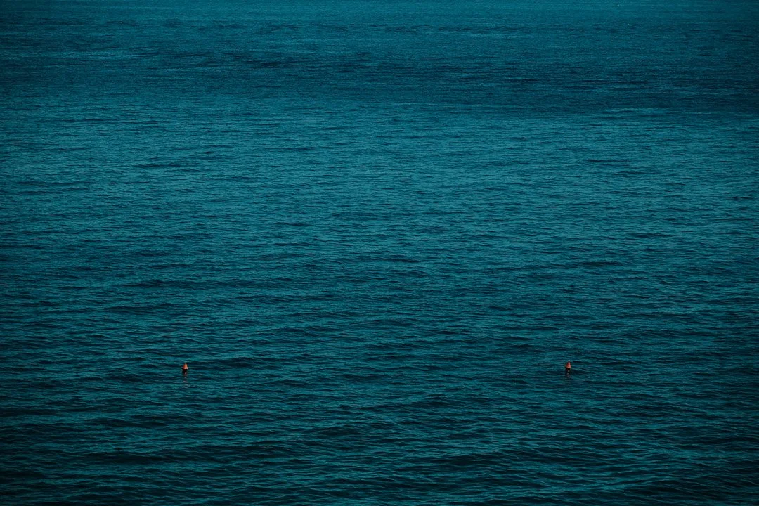 DSCF4780Il Pellicano.jpg