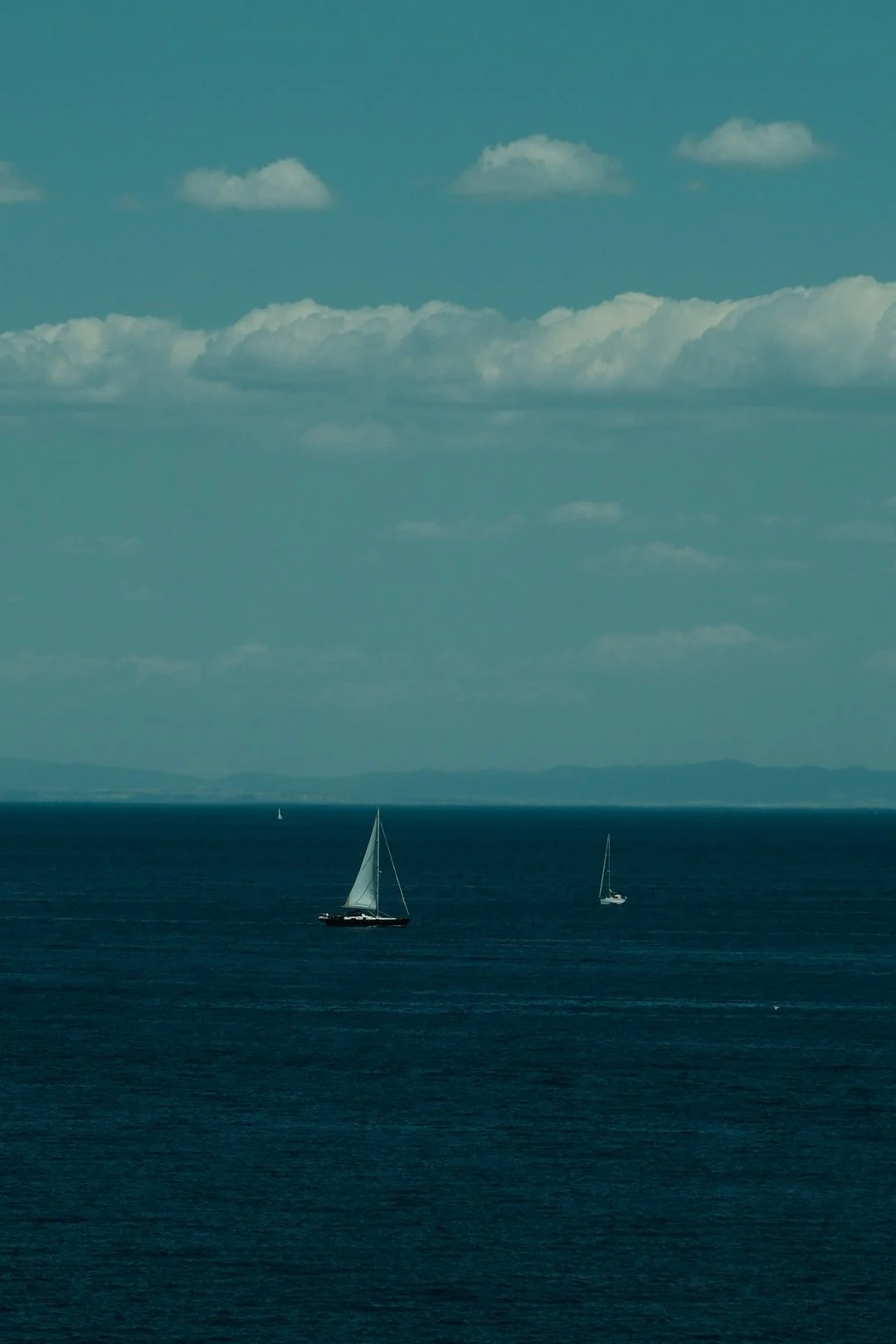 DSCF4789Il Pellicano.jpg