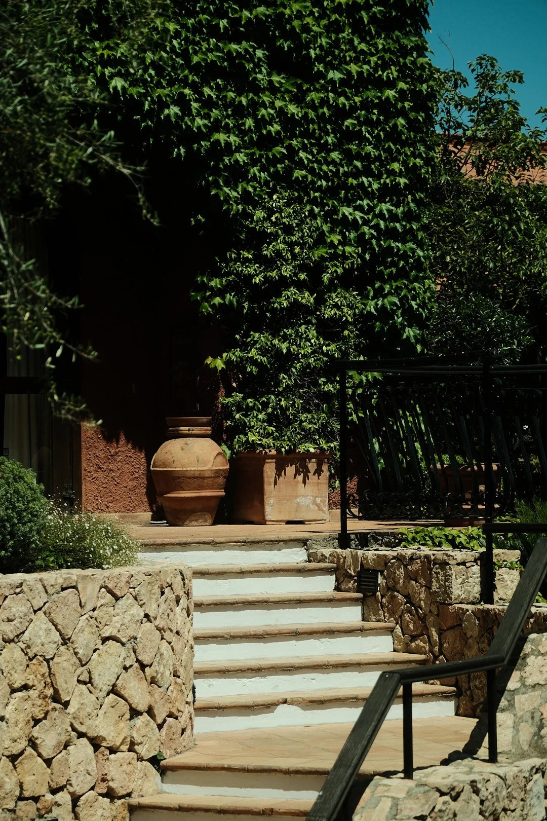 DSCF4798Il Pellicano.jpg