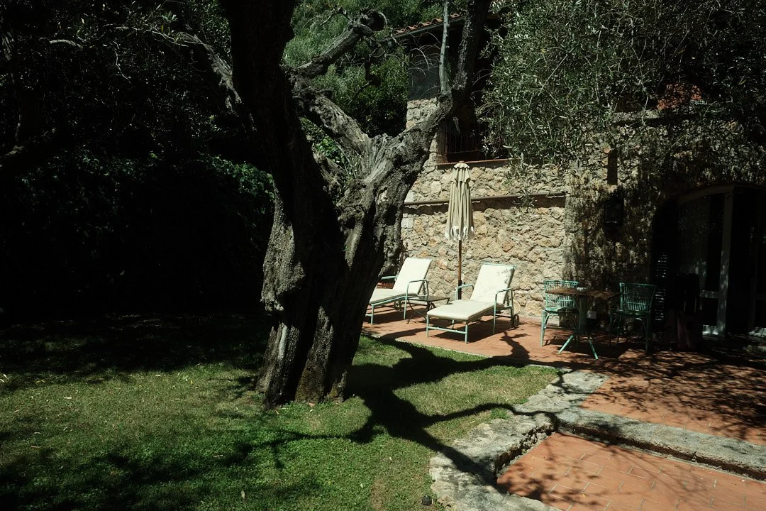 DSCF4804Il Pellicano.jpg
