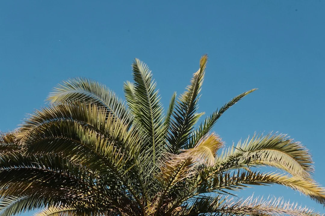 DSCF5191athens.jpg