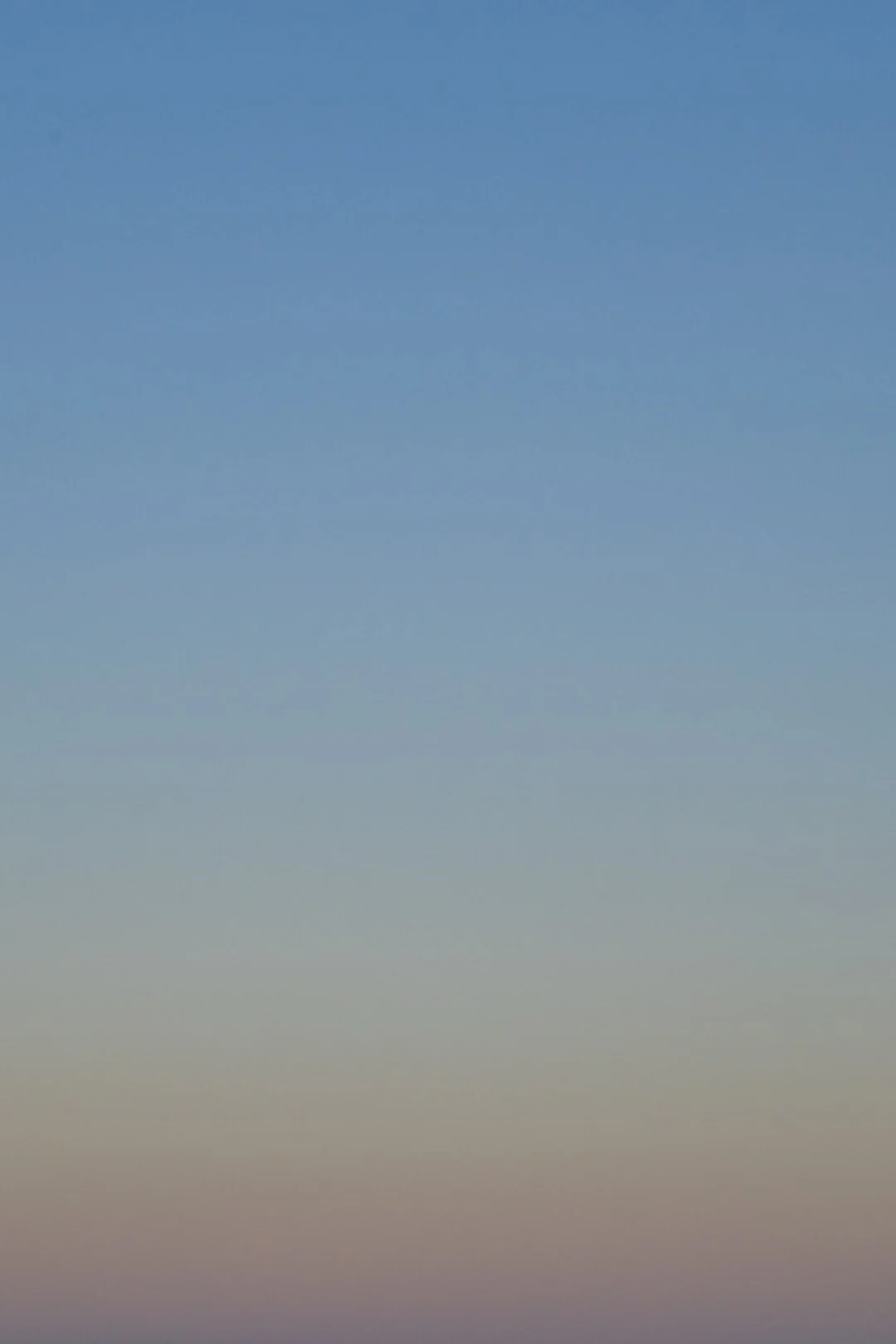 DSCF6019laconia.jpg