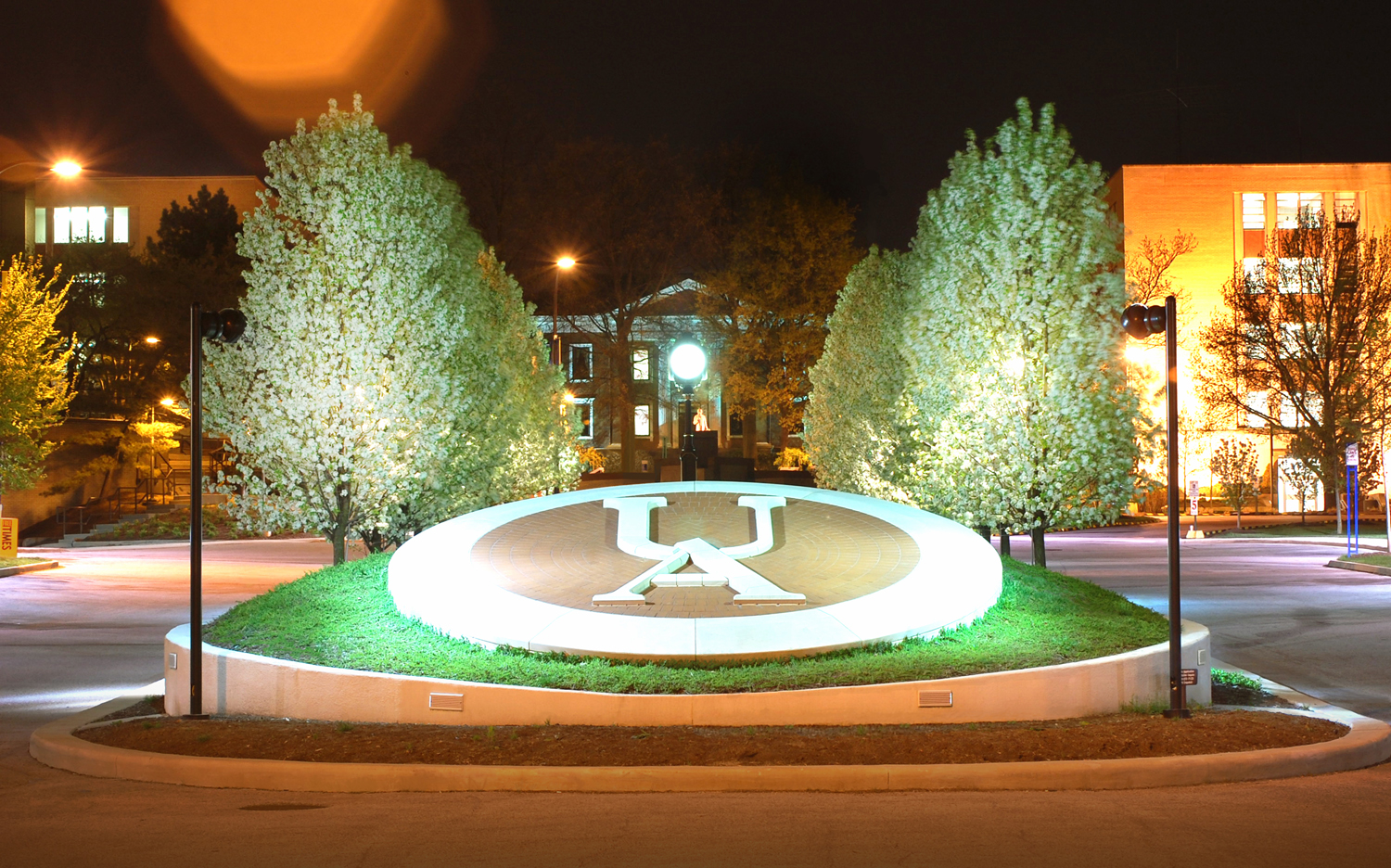 Flowering Trees Frame the Coin and Historic Buchtel Hall