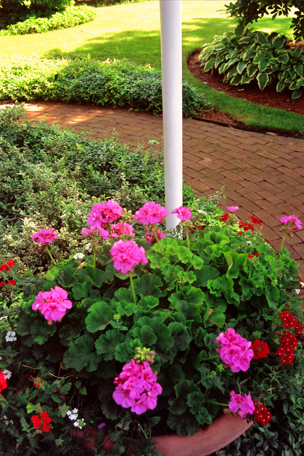 Brick Walk Design with Potted Plants