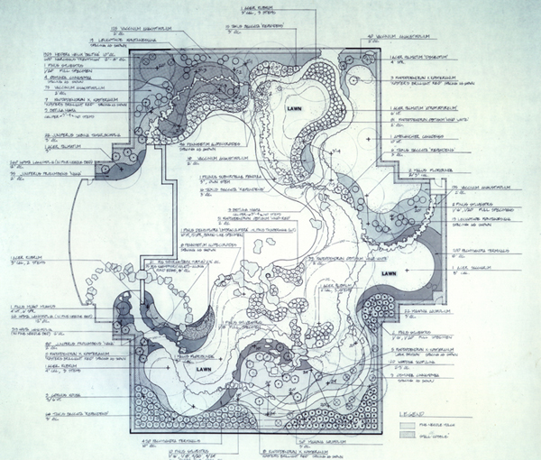 Plan View of the Japanese Style Garden Courtyard