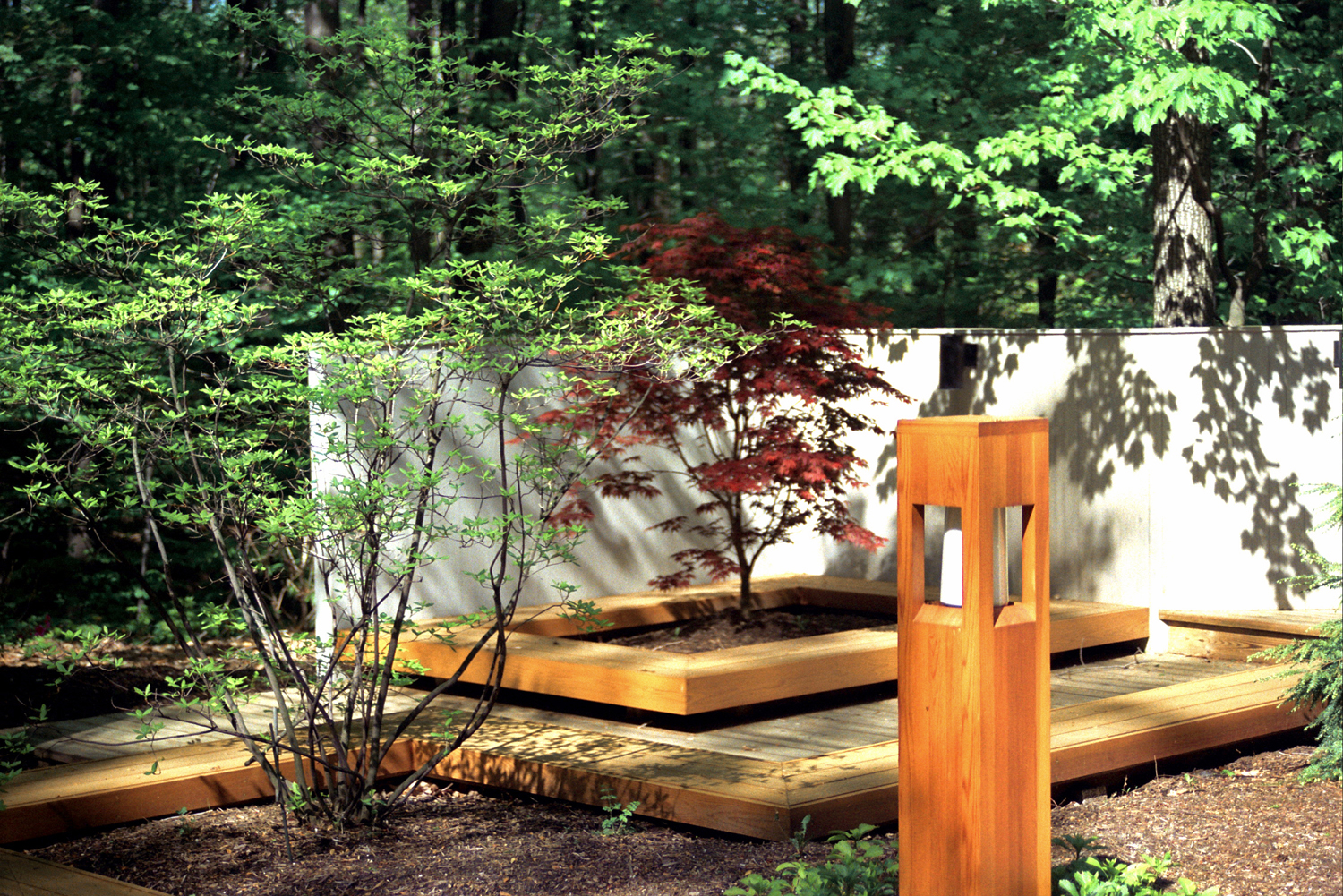 Contemporary Landscape Design with Cedar Deck