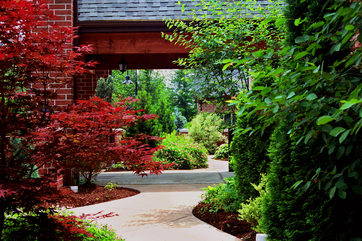 Courtyard Design with Informal Sensory Garden