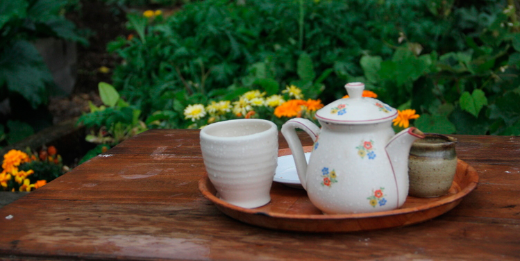 Cups of tea in the potager at Cbarn accommodation Raglan