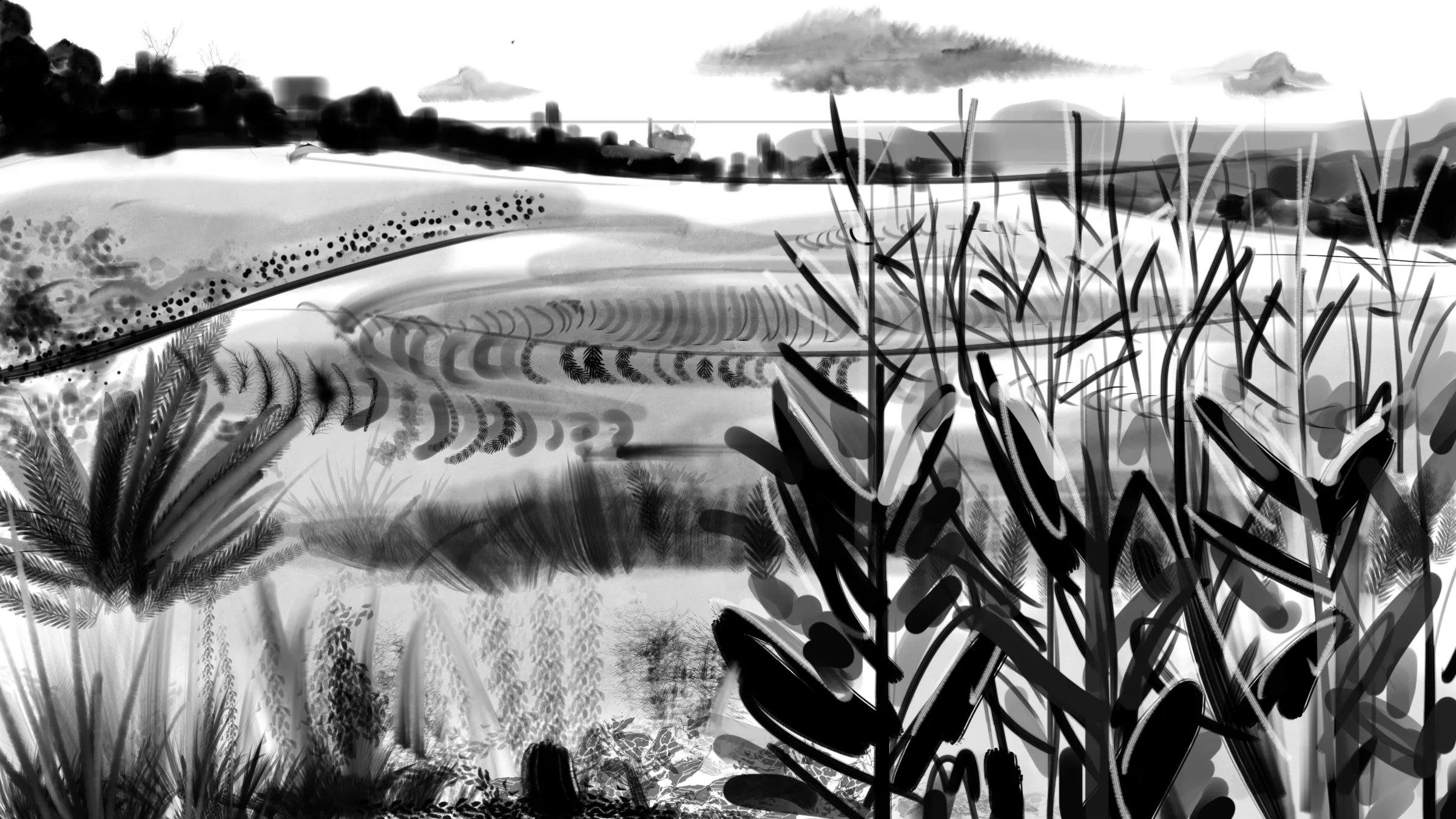 sketch_11.jpg