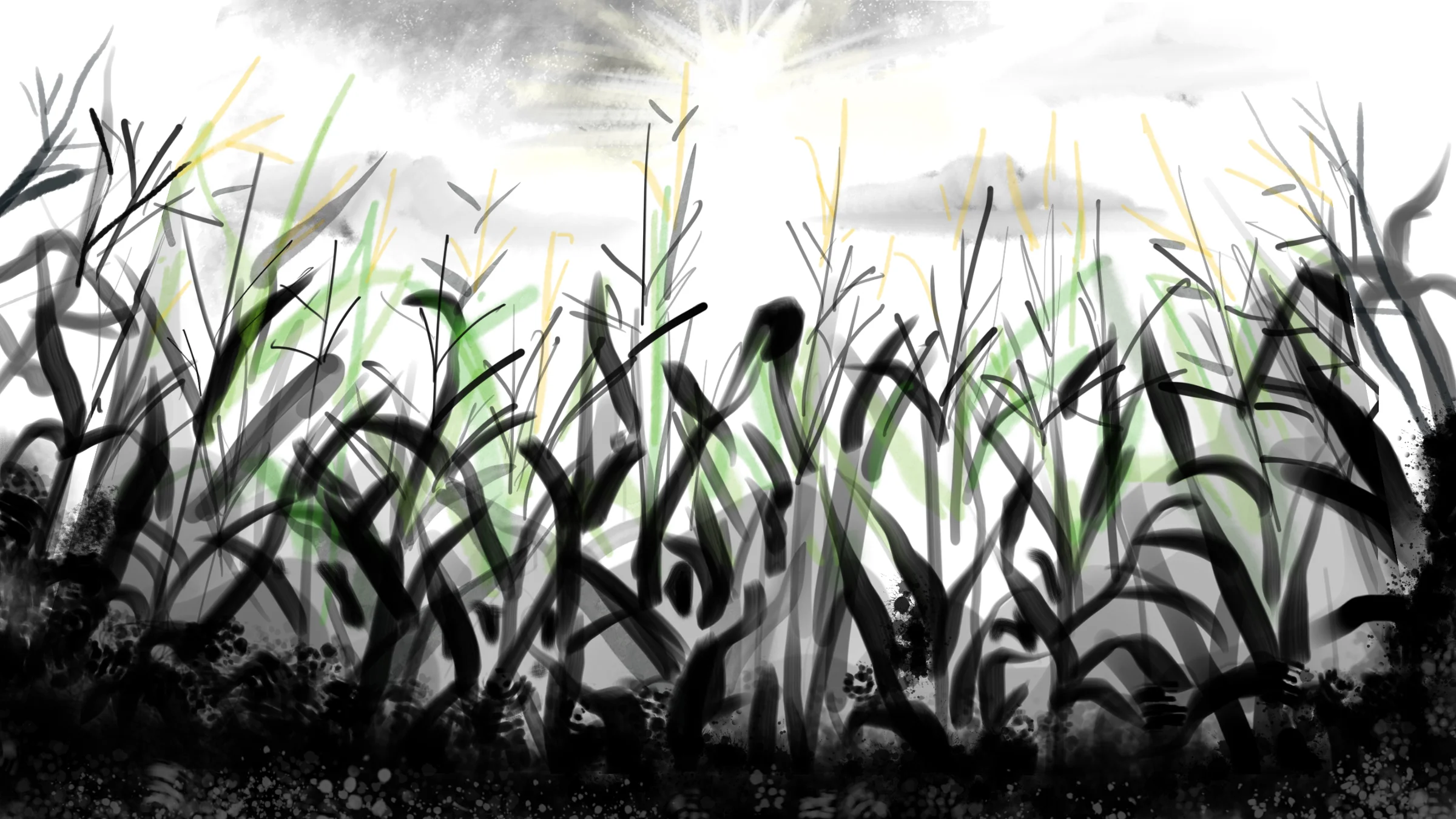 sketch_23.jpg
