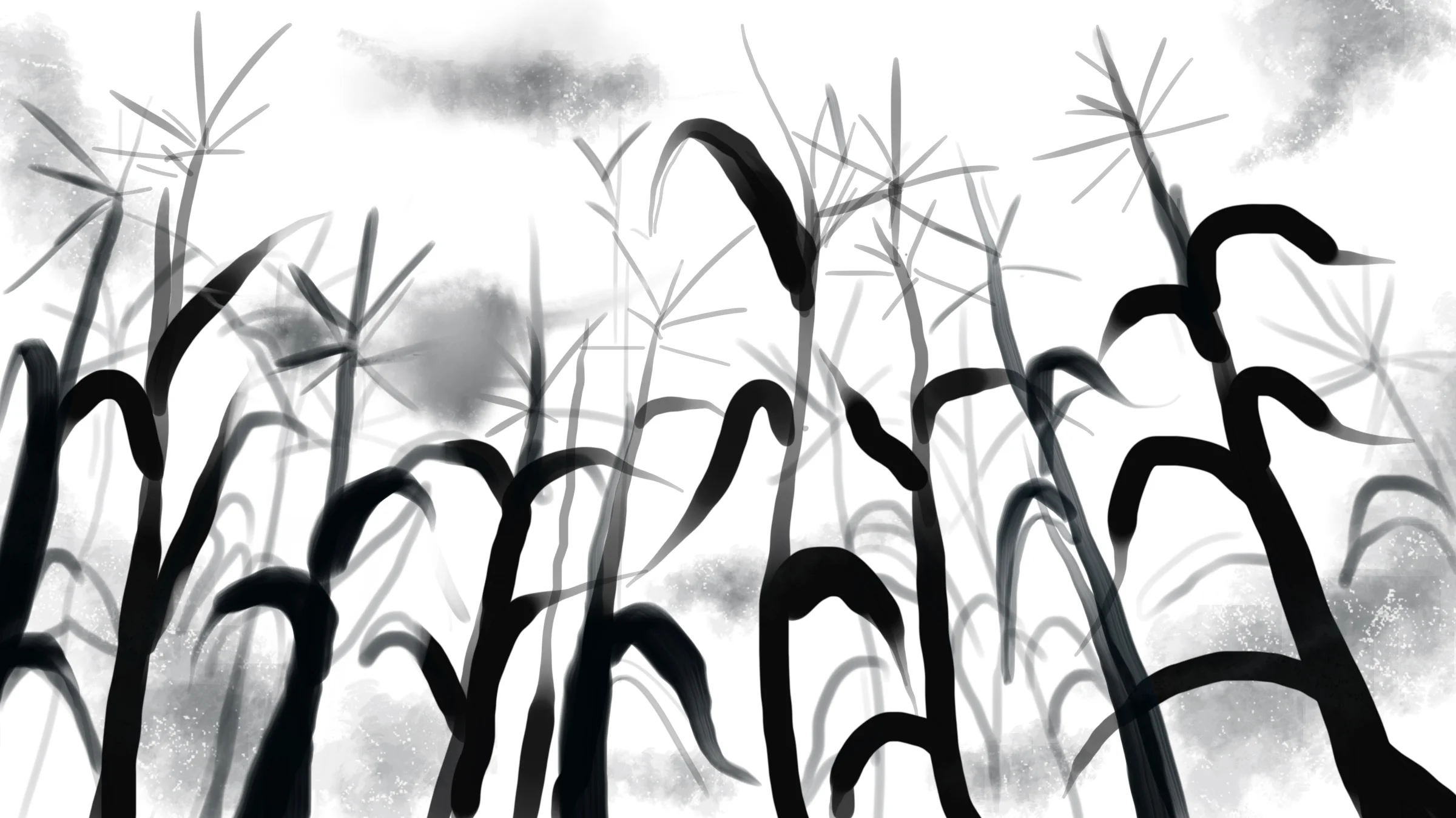 sketch_24.jpg